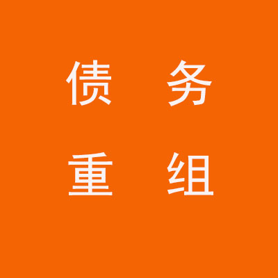 水满乡个人债务重组优化